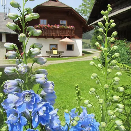 Der Hoferbauer Apartment Bad Kleinkirchheim