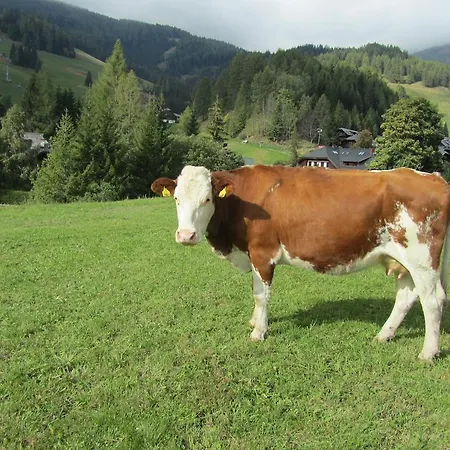 Der Hoferbauer Bad Kleinkirchheim