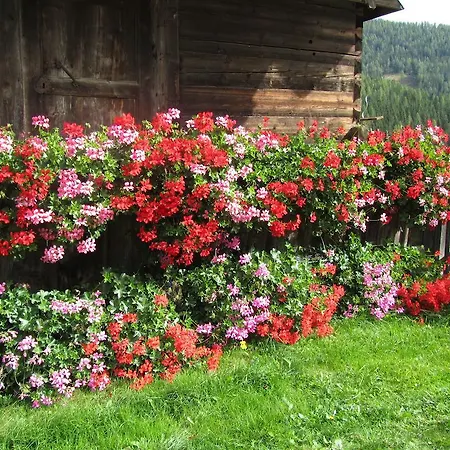 Apartment Der Hoferbauer Bad Kleinkirchheim