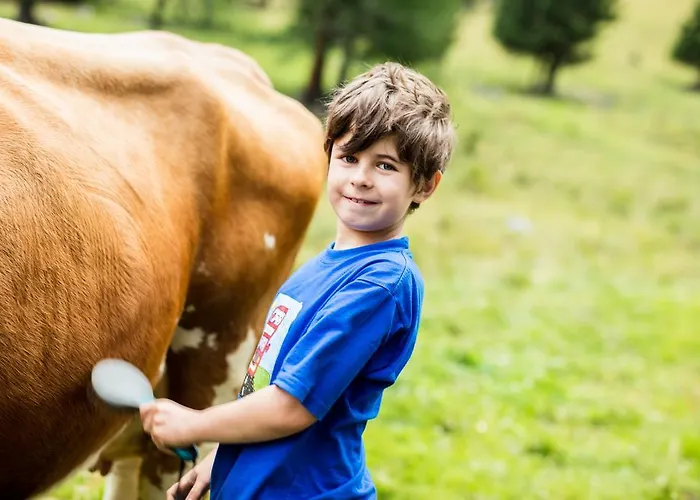 Der Hoferbauer * バド クラインキルヒハイム